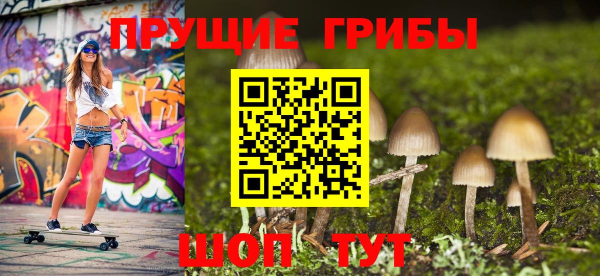 цены наркотик  Вход с VPN  Острогожск  Псилоцибиновые грибы ЛСД 